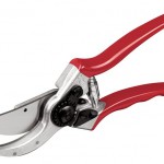 Felco pruners