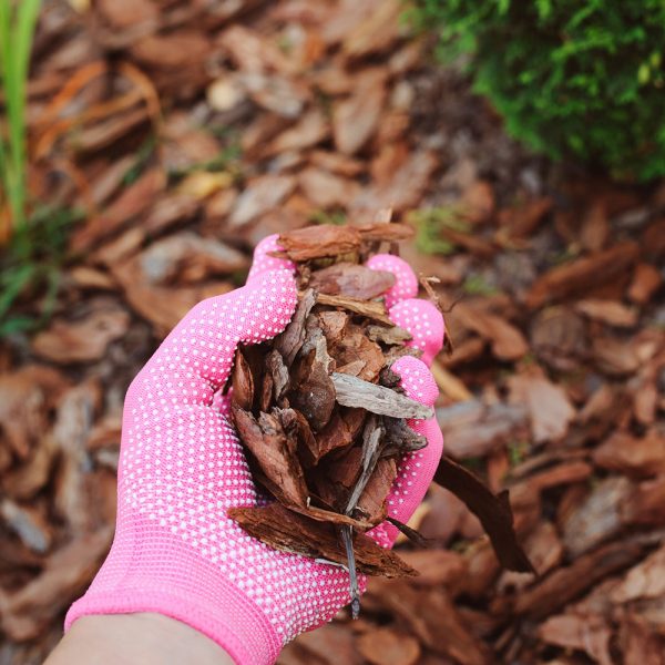 Mulch