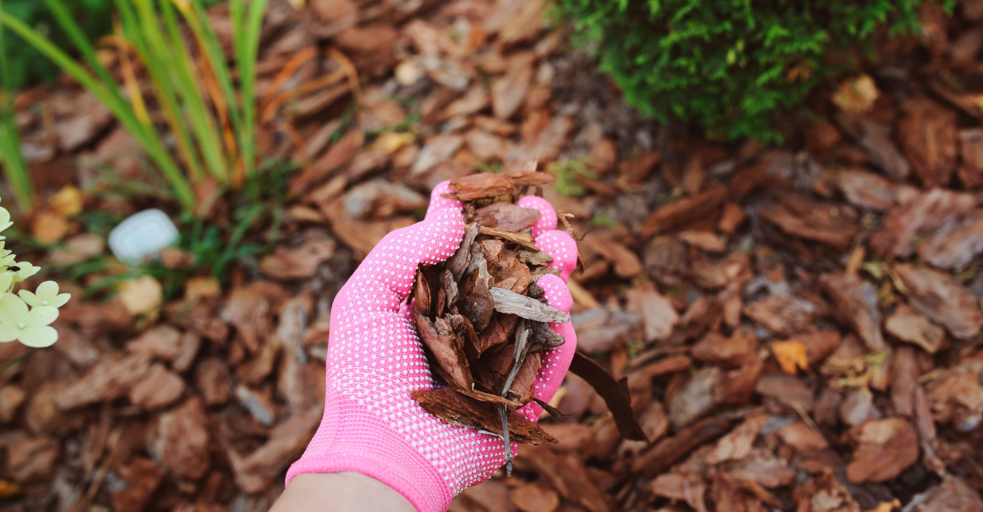 Mulch